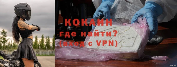 ECSTASY Богданович