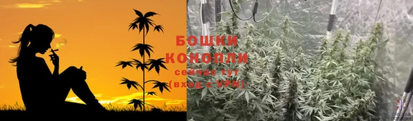 ECSTASY Богданович