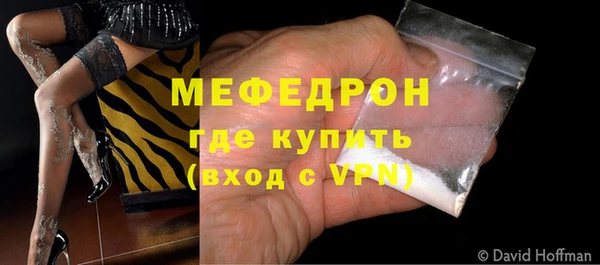 ECSTASY Богданович