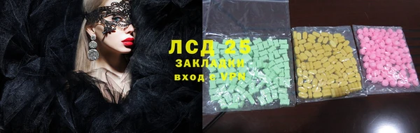 ECSTASY Богданович