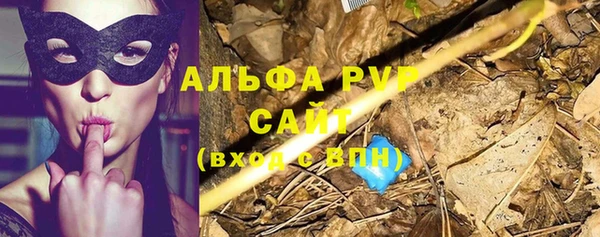 ECSTASY Богданович
