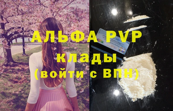 ECSTASY Богданович