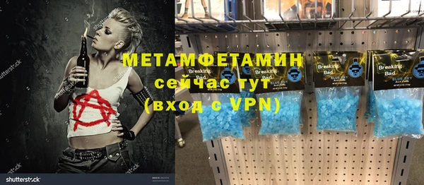 ECSTASY Богданович